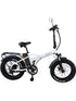 Sgvbicycles 48V 750W 13AH 20" x4.0 Fat Tire E-Bike Folding
